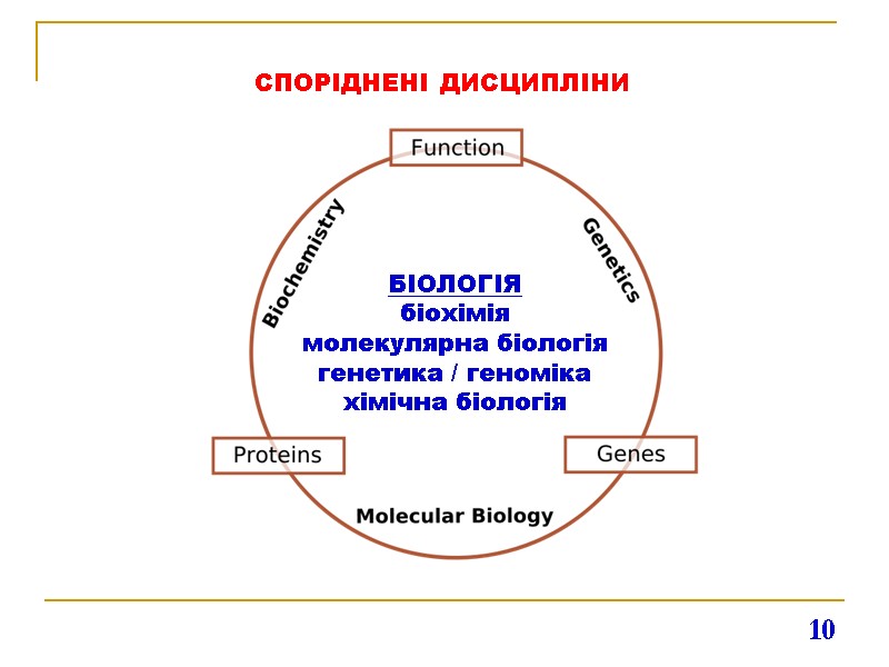 10 БІОЛОГІЯ біохімія молекулярна біологія генетика / геноміка хімічна біологія СПОРІДНЕНІ ДИСЦИПЛІНИ